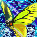 metalprotect_picm.oct