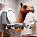 oiiiisa._94570 avatar