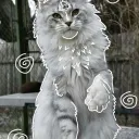 gr0wag4rd3nl0v3r_17199 avatar