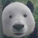 https://cdn.discordapp.com/avatars/1392795739155071046/6a57c0813f6af1c51a086bf223e0cc33.jpg?size=128