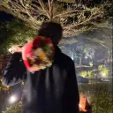 spidy.ly