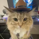 nekn3n