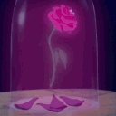 avatar Delightdiddybludragebaiter6767