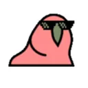 zbzone_