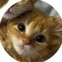 rukapiiii