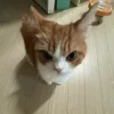 0130327