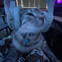 deik_19