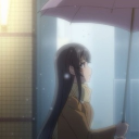 avatar 𝑑𝘰𝑙𝑙