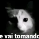 imnoctyx