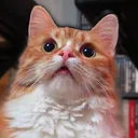 notbonefoot