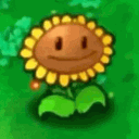 chaimera