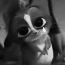 kay_bay3364_59868 avatar