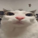 BkkkfGGgDaDDDy