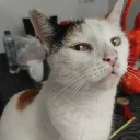 daniel0900360 avatar