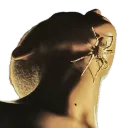 ky.html avatar