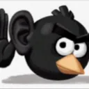 zicarbon