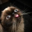 139435097655869440 Avatar