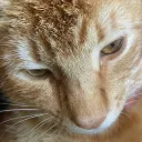 jamezrodrigez_2002 avatar