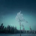 cxllusion._