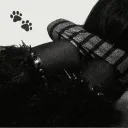 _amery.