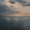 bermudacomputerclub