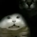 pabloeudelmorn_