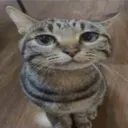 beepinator