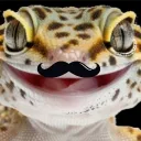 james_gecko