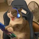 deathtodwuber