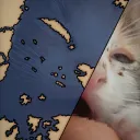 voinicumic_