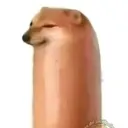 seek_de_los_seekes avatar