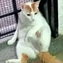 manuelzzz0791 avatar