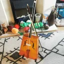 saefinn