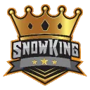 snowking123456 avatar