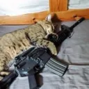 arezpilinchiquito avatar