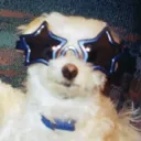 rufflesdotfem