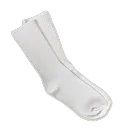 whitesockslover