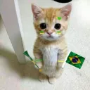 xsukiie