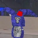 pntvern