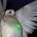 https://cdn.discordapp.com/avatars/1395161952099237919/cb5a92de57c75eaa2fb8b3999af03aef.jpg?size=128