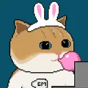 bunnymuffins