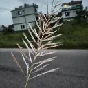rdxlexcy