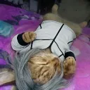 hernandez0896_92869 avatar