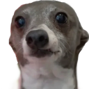 mrriftbyte#0 avatar