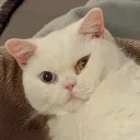 aid.o