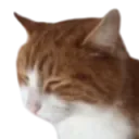 _dizcat