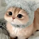 dxddyrxzyyy