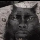 violetx_brainrot5 avatar