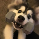 superboy1843's avatar