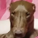 .b_i_e_l.